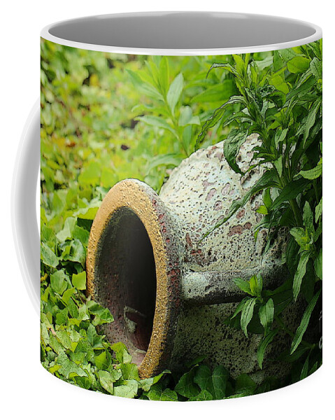 Nature Coffee Mug featuring the photograph Terracotta vase in the green by Amanda Mohler