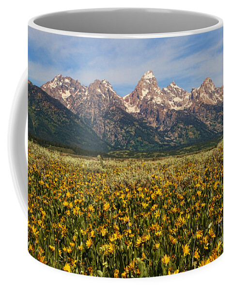 Mountains Coffee Mug featuring the photograph Tetons and Yellow by Edward R Wisell