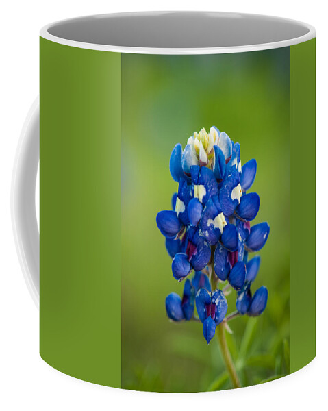 Texas Coffee Mug featuring the photograph Texas Blue by George Buxbaum