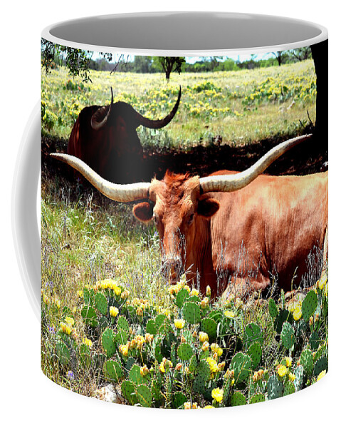 Linda Cox Coffee Mug featuring the photograph Texas Longhorns 2 by Linda Cox