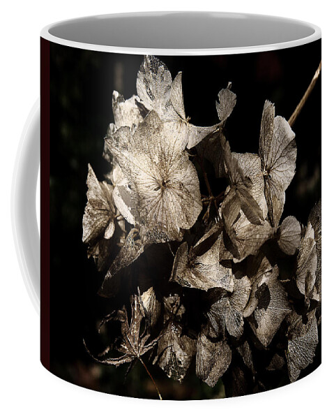 Flower Coffee Mug featuring the photograph Texture of Ageing by Belinda Greb