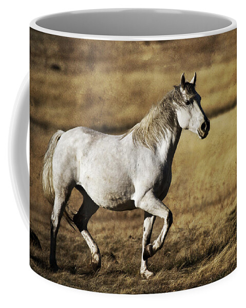 That Golden Hour Coffee Mug featuring the photograph That Golden Hour by Wes and Dotty Weber
