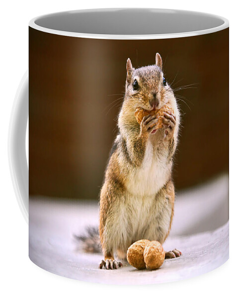 Chipmunk Coffee Mug featuring the photograph That Nutty Smile of Yours by Peggy Collins