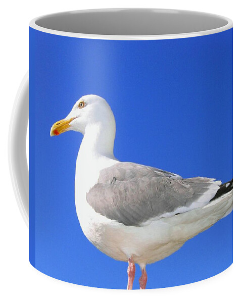The Admiral Coffee Mug featuring the photograph The Admiral by Will Borden