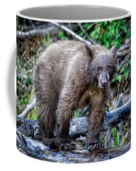 Wildlife Coffee Mug featuring the photograph The Balance Beam by Jim Thompson
