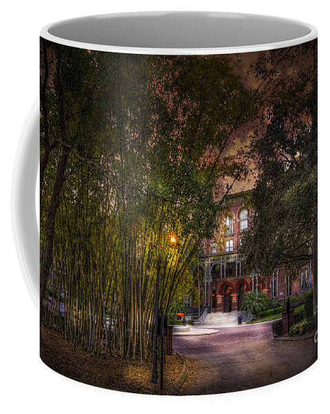 Bamboo Coffee Mug featuring the photograph The Bamboo Path by Marvin Spates