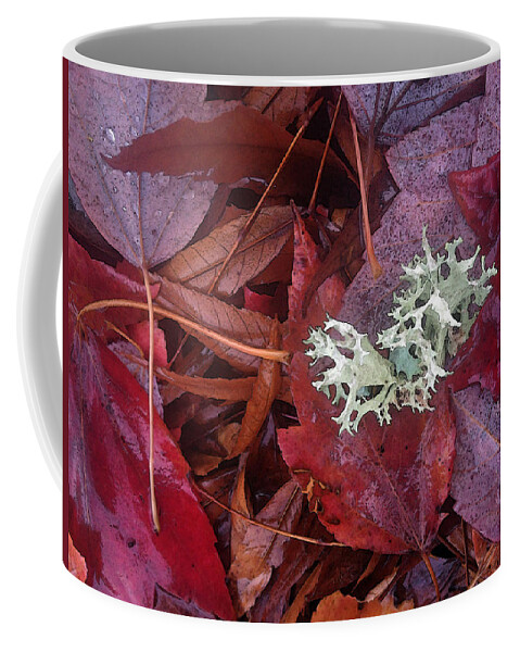 Fall Coffee Mug featuring the photograph The Beauty of Rain by Gwyn Newcombe