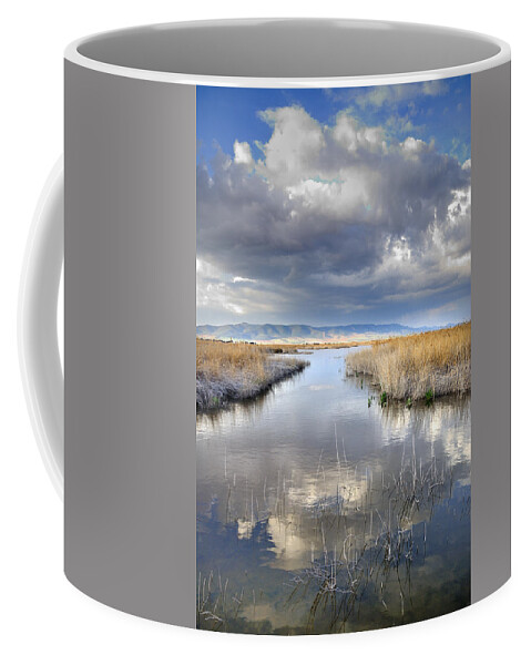 Reflection Coffee Mug featuring the photograph The big storm by Guido Montanes Castillo
