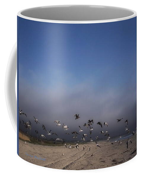 Seagulls Coffee Mug featuring the photograph The Birds by Donna Blackhall