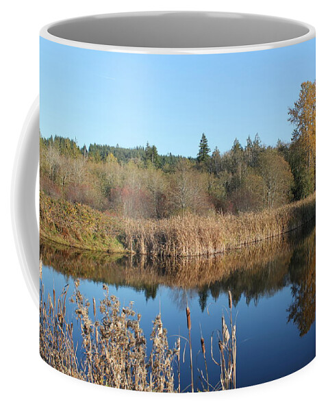 Reflections Coffee Mug featuring the photograph The Blue Mirror by E Faithe Lester