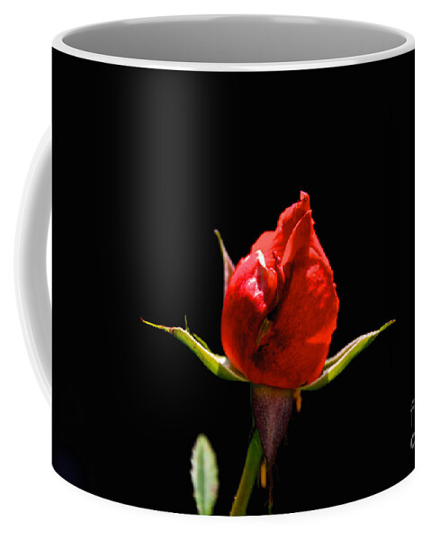 Bud Coffee Mug featuring the photograph The Bud by William Norton