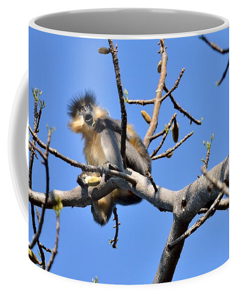 Capped Langur Coffee Mug featuring the photograph The Capped One by Fotosas Photography