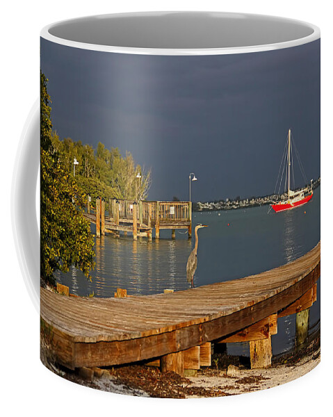 Great Blue Heron Coffee Mug featuring the photograph The Casual Observer by HH Photography of Florida
