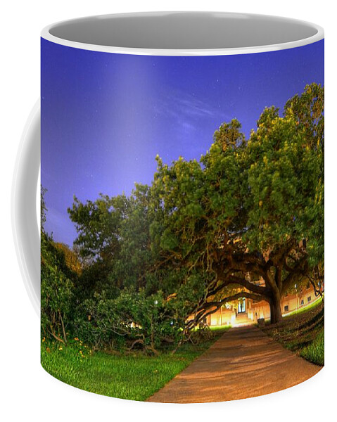The Century Tree Coffee Mug featuring the photograph The Century Tree by David Morefield
