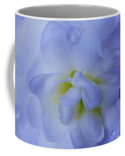 Bloom Coffee Mug featuring the photograph The Color of Rain by Sharon Ackley