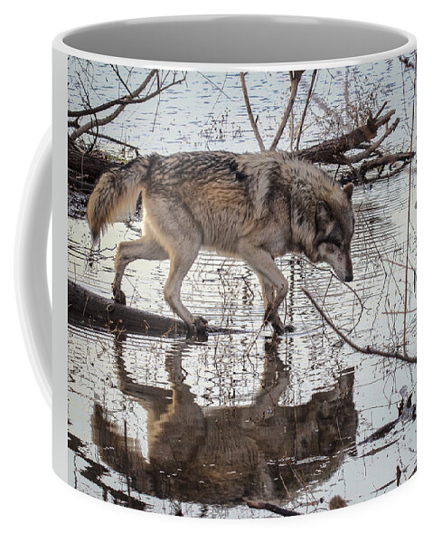 Animal Coffee Mug featuring the photograph The Crossing by Jack R Perry