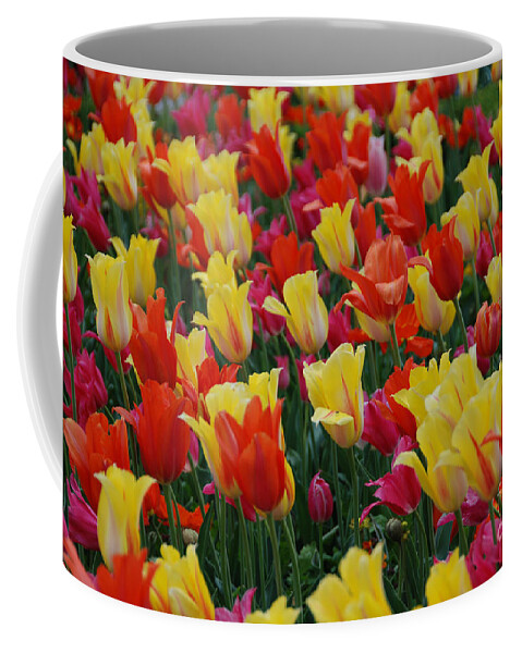 Tulips Coffee Mug featuring the photograph The Crowd by Jackie Farnsworth