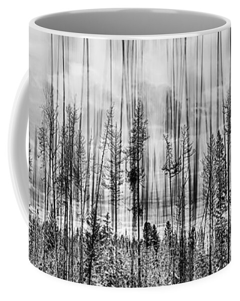 Forest Coffee Mug featuring the photograph The Edge Of The Clear-cut by Theresa Tahara