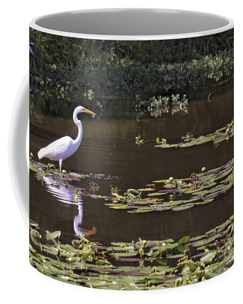 Egret Coffee Mug featuring the photograph The Egret Hunter by Jason Politte