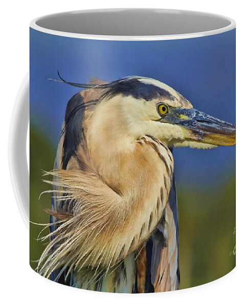 Blue Heron Coffee Mug featuring the photograph The Eye of Blue by Deborah Benoit