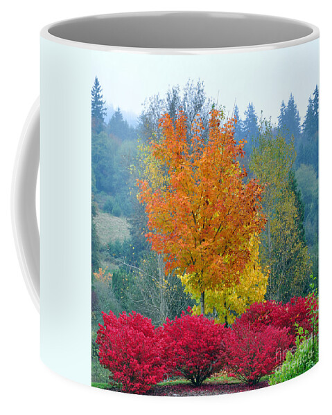 Autumn Coffee Mug featuring the photograph The Flame by Kirt Tisdale