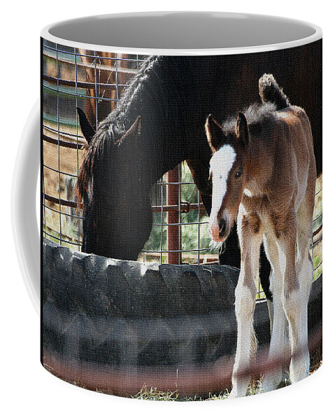 The Flying Colt With The Big White Feet And Mom Coffee Mug featuring the photograph The Flying Colt With The Big White Feet by Tom Janca