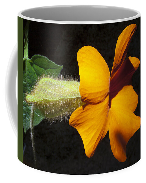 Flora Coffee Mug featuring the photograph The force that through the green fuse ... by Joe Schofield