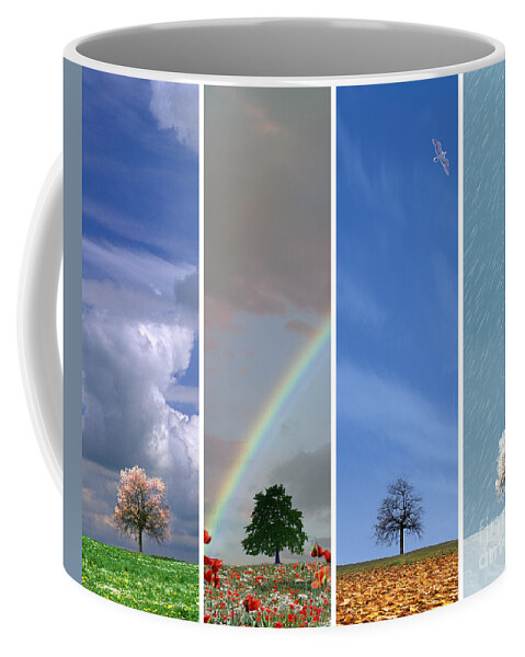 Nag003144 Coffee Mug featuring the photograph The Four Seasons by Edmund Nagele FRPS