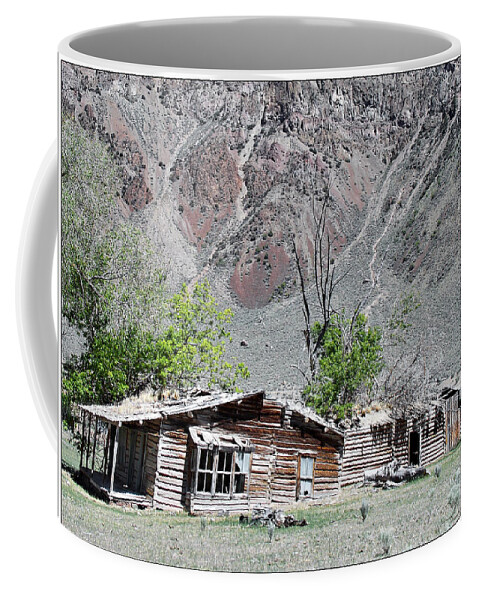 Homestead Coffee Mug featuring the photograph The Grass is Greener When It's Growing on the Roof by Susan Kinney