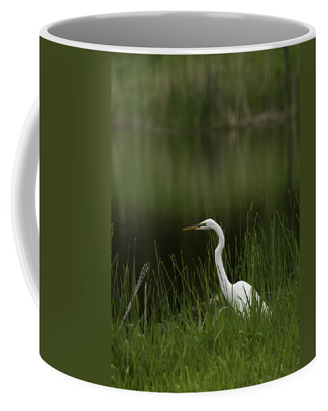 Great Egret Coffee Mug featuring the photograph The Great Egret 1 by Thomas Young