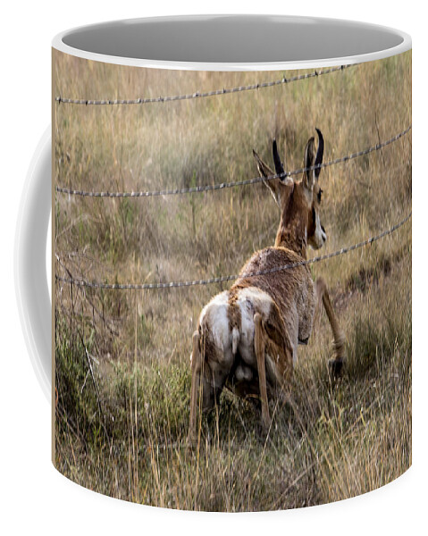 Pronghorn Coffee Mug featuring the photograph The Great Escape by Renny Spencer