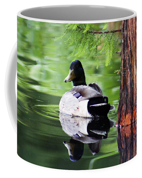 Duck Coffee Mug featuring the photograph The Green mirror by Lily K
