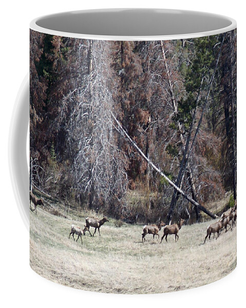 Elk Coffee Mug featuring the photograph The Herd by Susan Kinney