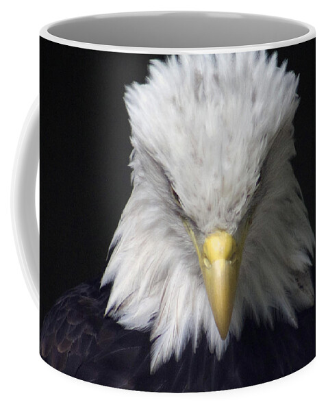 Eagle Coffee Mug featuring the photograph The incognito by Lily K