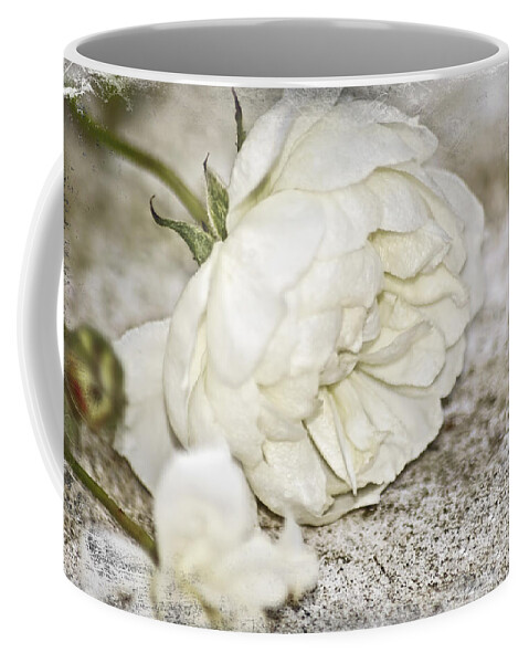 Rose Coffee Mug featuring the photograph The Last Rose by Carolyn Marshall