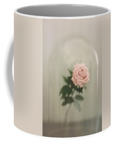 Glass Coffee Mug featuring the photograph The Last Rose by Trish Mistric