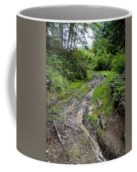 Back Road Coffee Mug featuring the photograph The Ledge Point Trail by Roxy Hurtubise