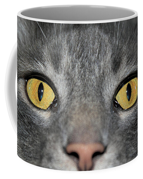 Cat Coffee Mug featuring the photograph The Look by Shane Bechler