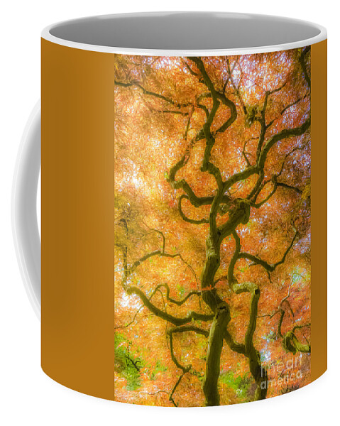 The Magic Forest Coffee Mug featuring the photograph The Magic Forest-15 by Casper Cammeraat