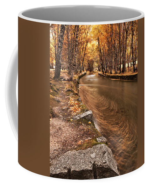 Fall Coffee Mug featuring the photograph The magic of fall by Jorge Maia