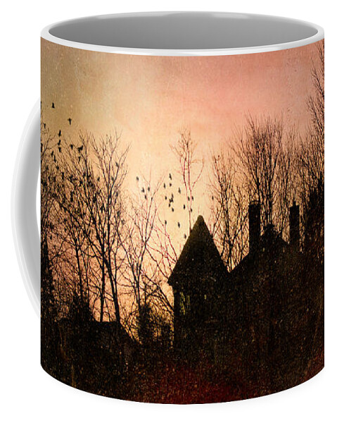 Architecture Coffee Mug featuring the photograph The Mansion Is Warm At The Top Of the Hill by Bob Orsillo