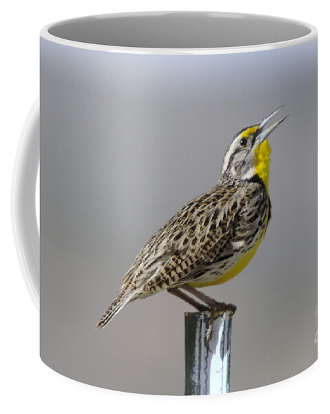 Birds Coffee Mug featuring the photograph The Meadowlark Sings by Jeff Swan