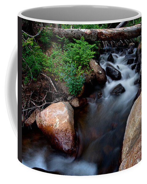 Rivers & Streams Coffee Mug featuring the photograph The Natural Bridge by Jim Garrison