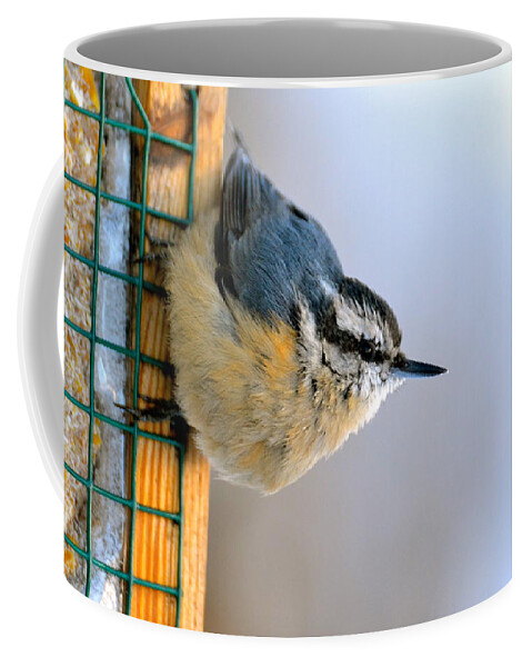 Bird Coffee Mug featuring the photograph The Nuthatch by Jody Partin
