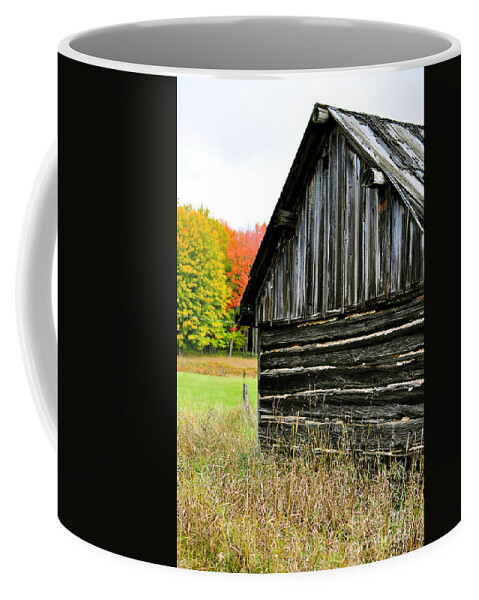 Weathed Wood Coffee Mug featuring the photograph The Old Back Shed by Gwen Gibson
