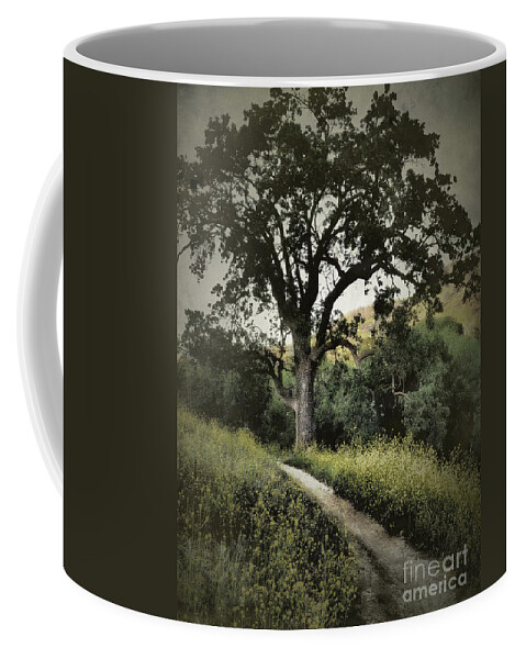 California Coffee Mug featuring the photograph The Old Chumash Trail by Parrish Todd