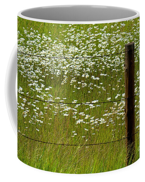 Flowers Coffee Mug featuring the photograph The Other Side by Jim Garrison