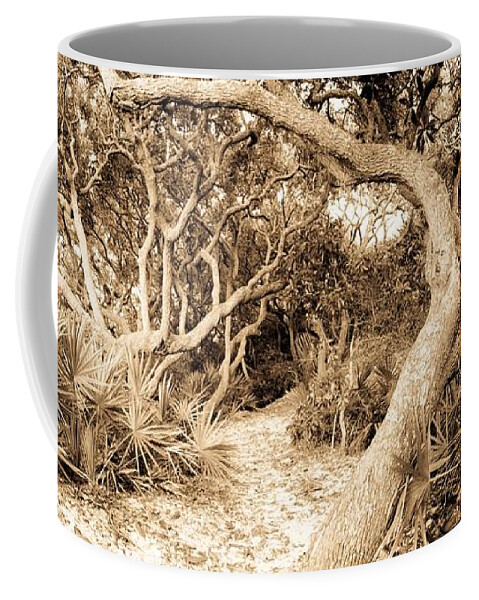 Grayton Beach State Park Coffee Mug featuring the photograph The Path Awaits by John Harmon