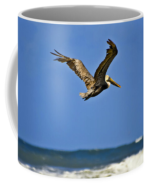 Pelican Coffee Mug featuring the photograph The Pelican and the Sea by DigiArt Diaries by Vicky B Fuller