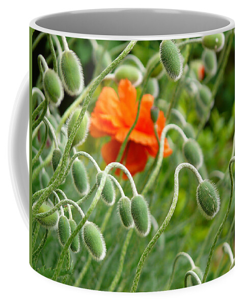 Poppy Coffee Mug featuring the photograph The Poppy by Evelyn Tambour